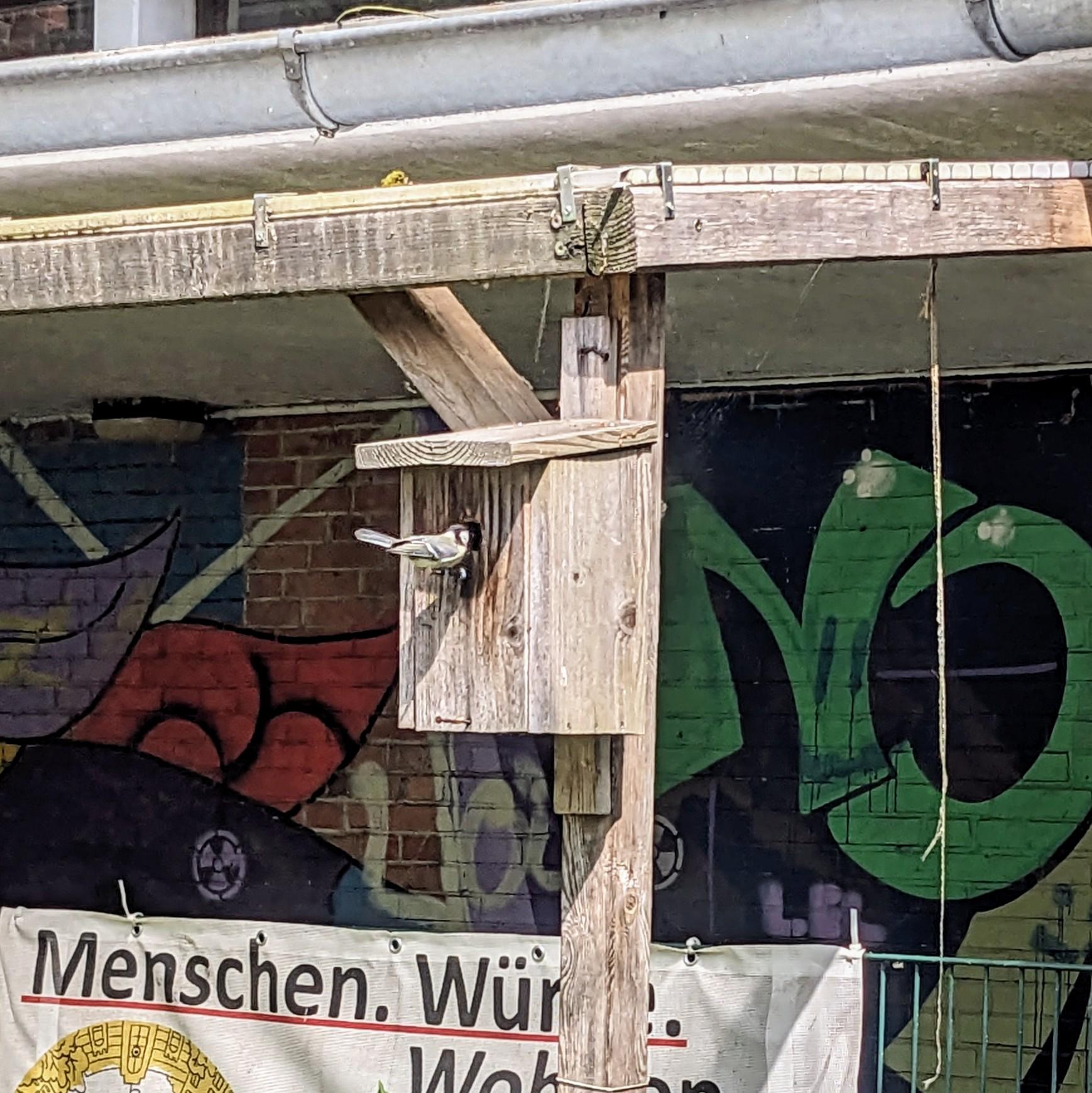 Frühling im Vogelhaus
