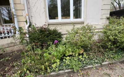 Gartentag im Frühling 2026