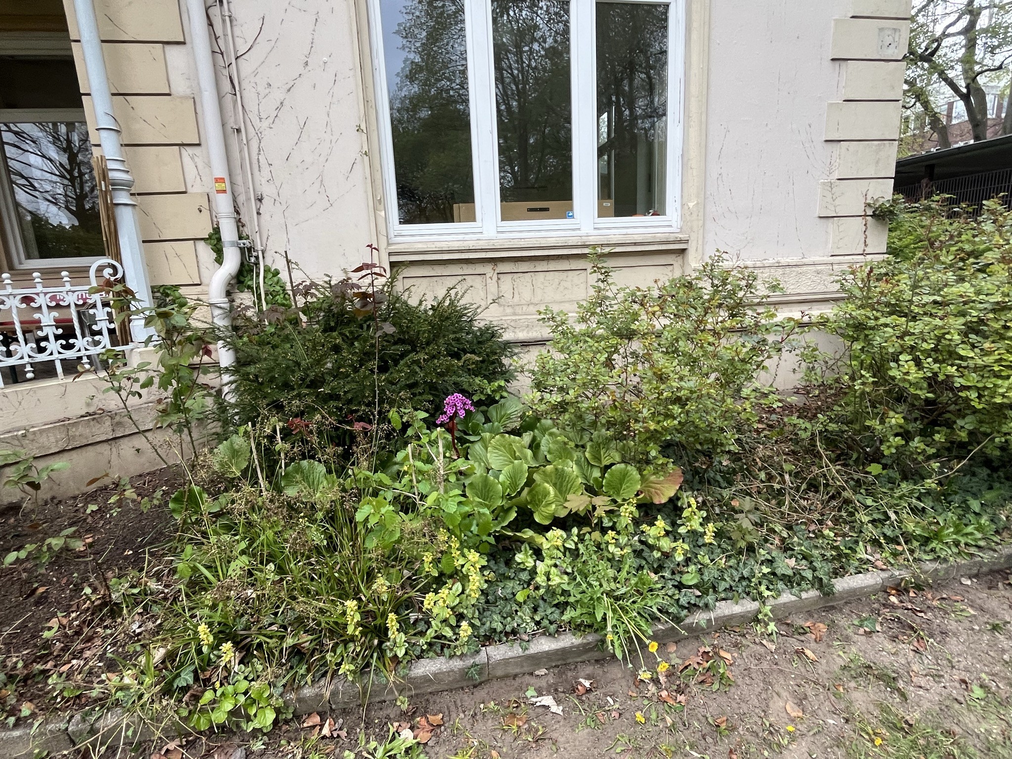Gartentag im Frühling 2026